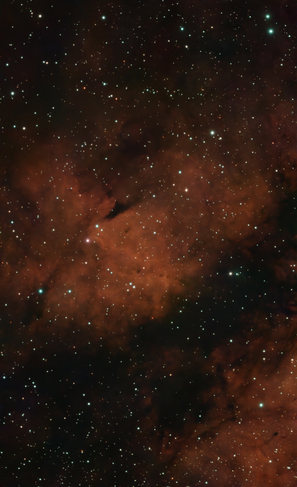 IC 1318B