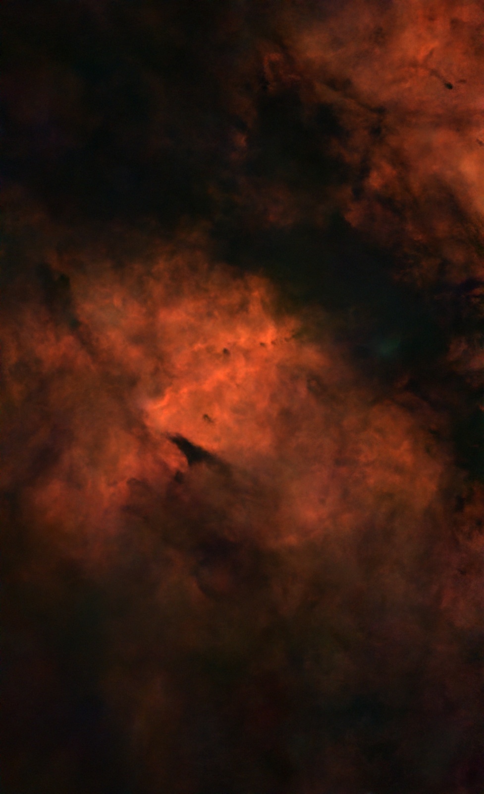 IC 1318B