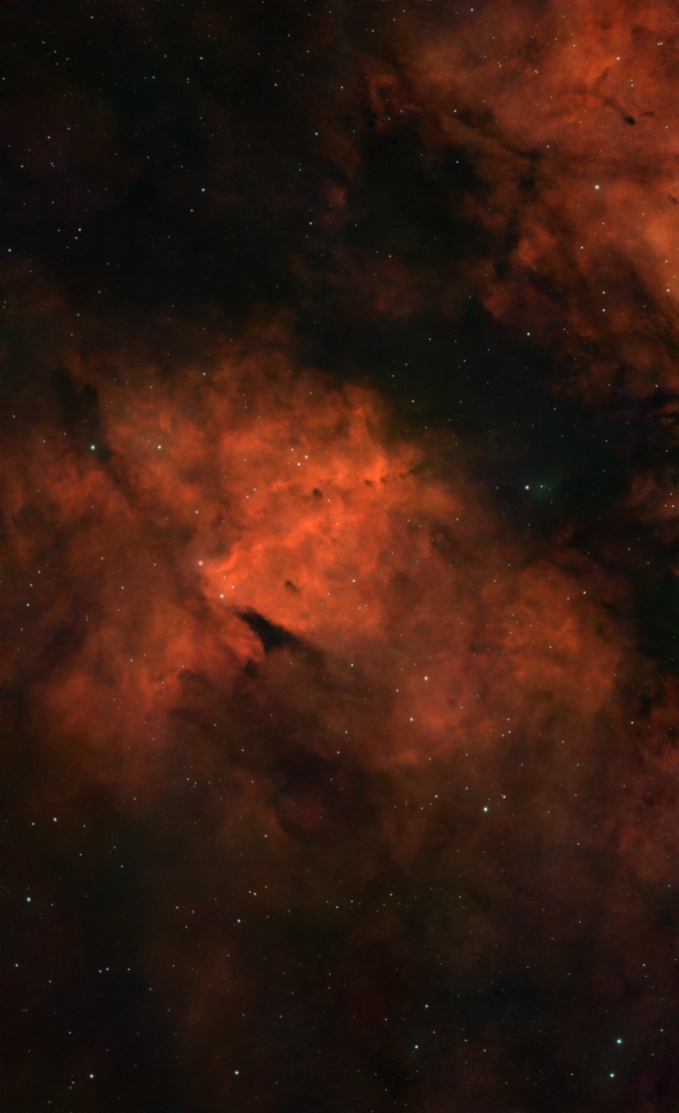 IC 1318B