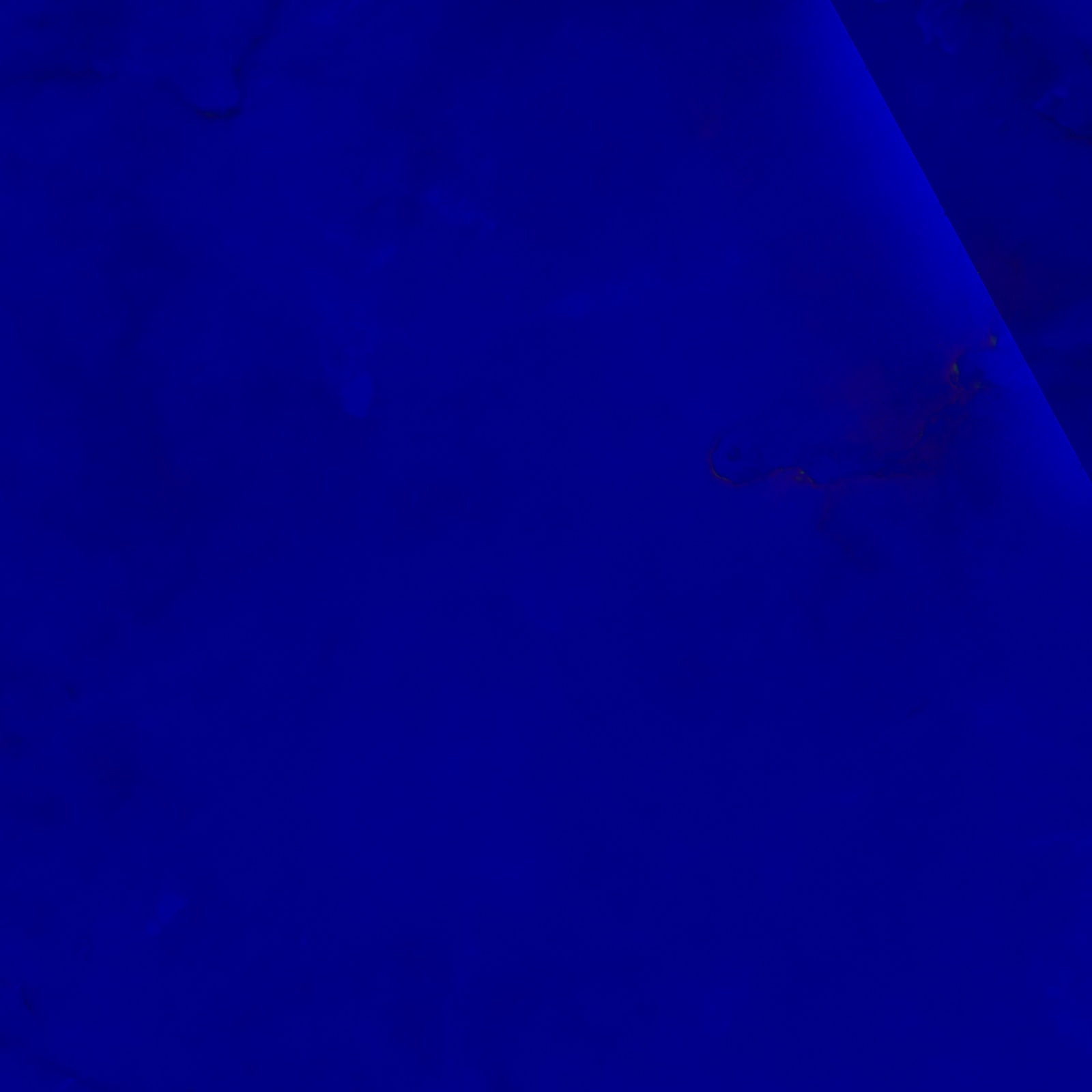 IC 1396