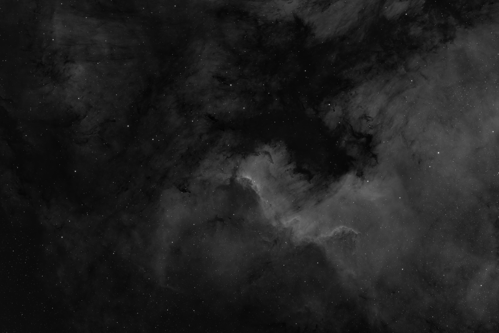 LBN 354