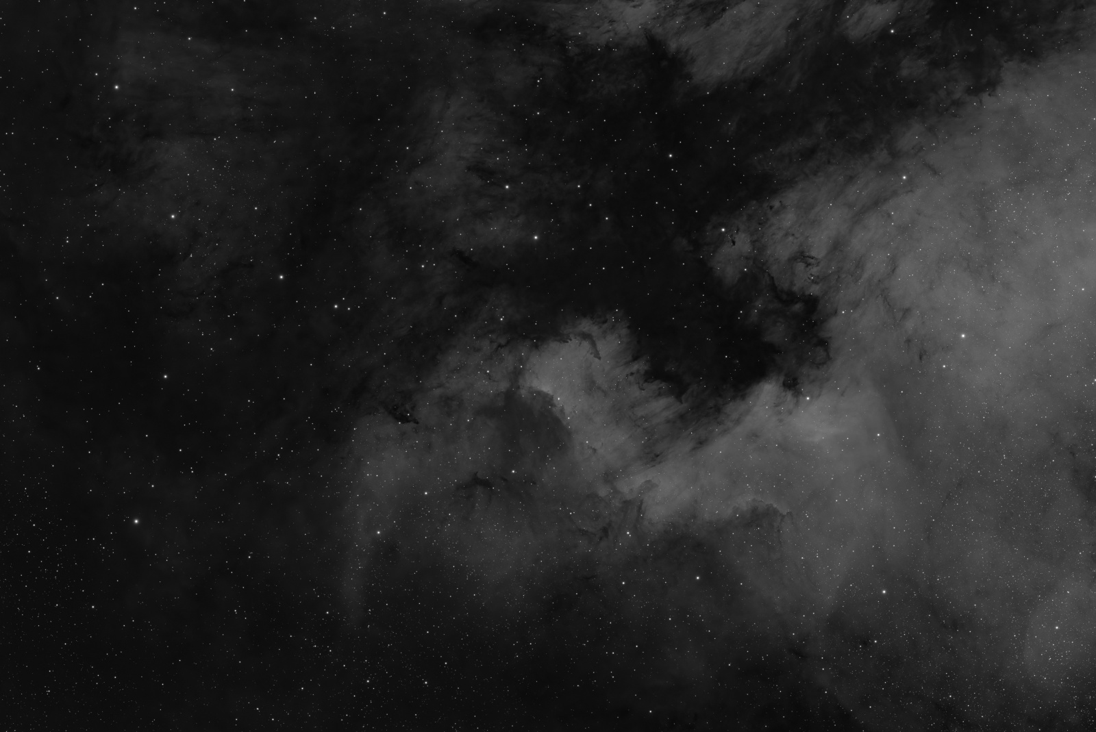 LBN 354