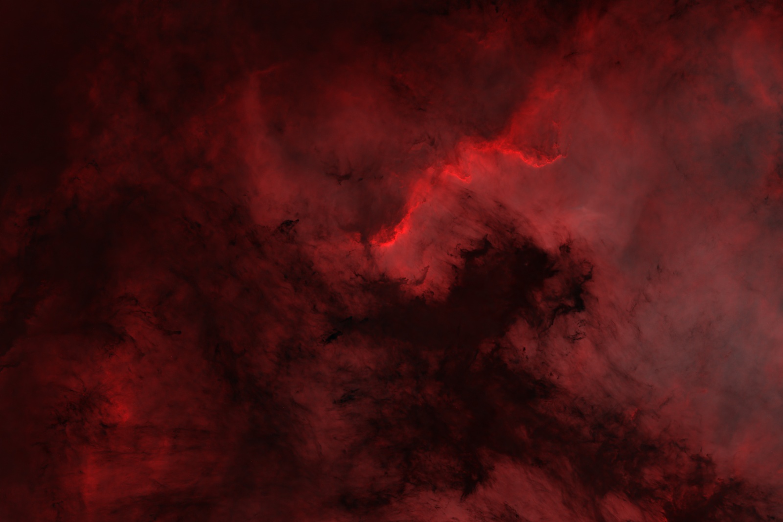 LBN 354