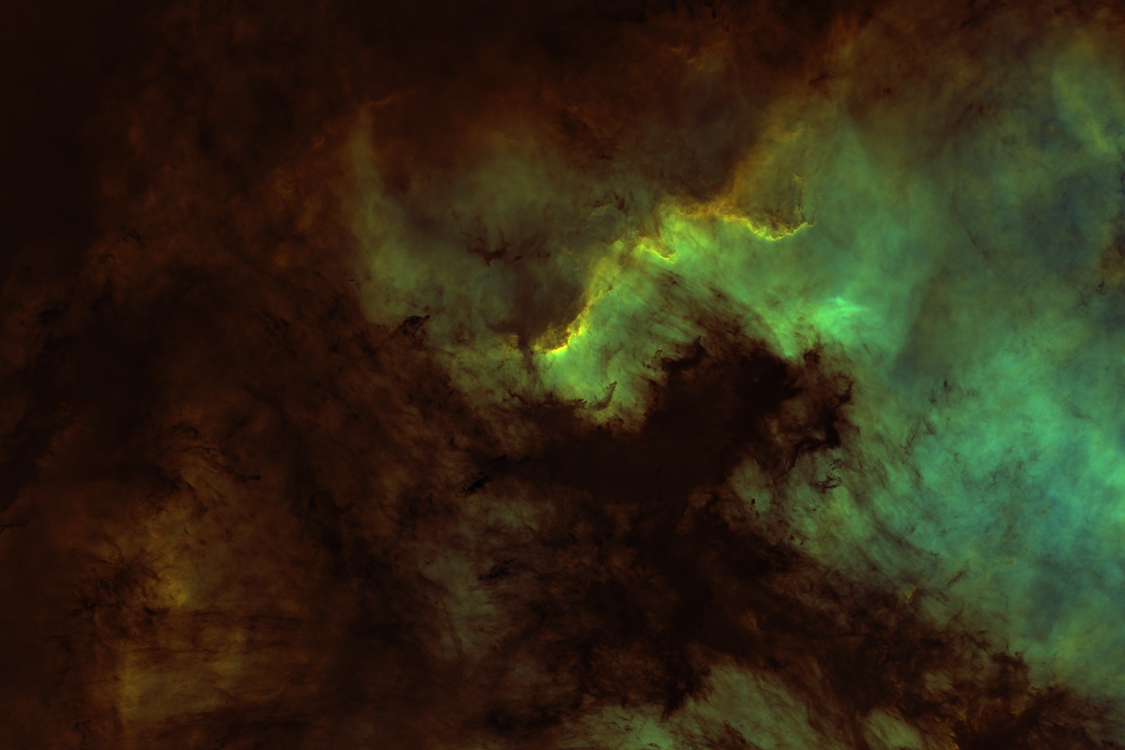 LBN 354