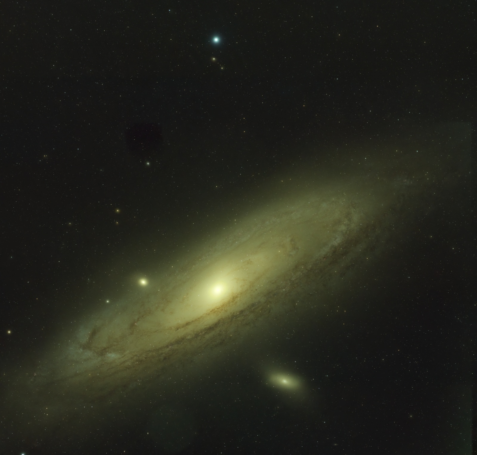 M 31