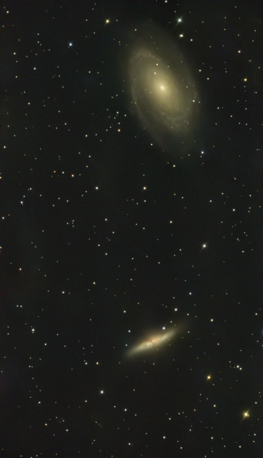 M 81