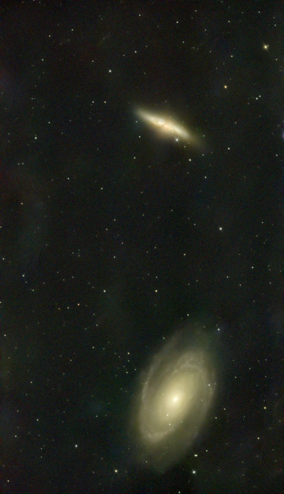 M 81