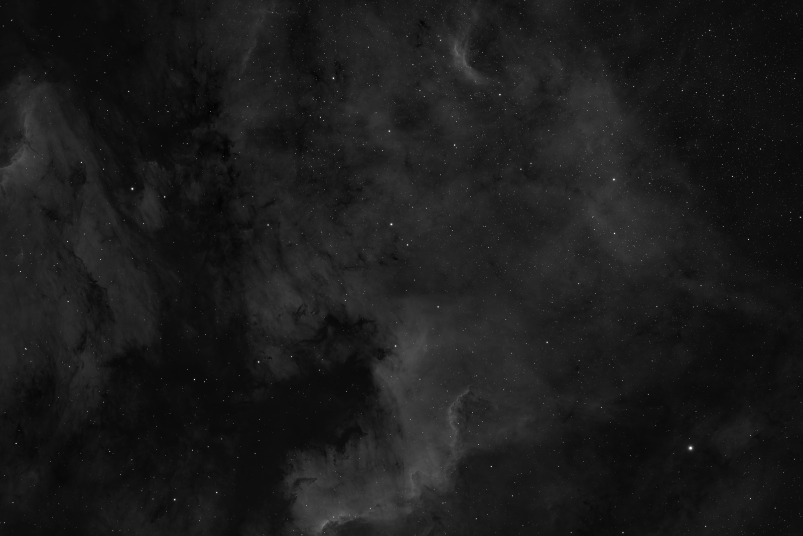 NGC 7000