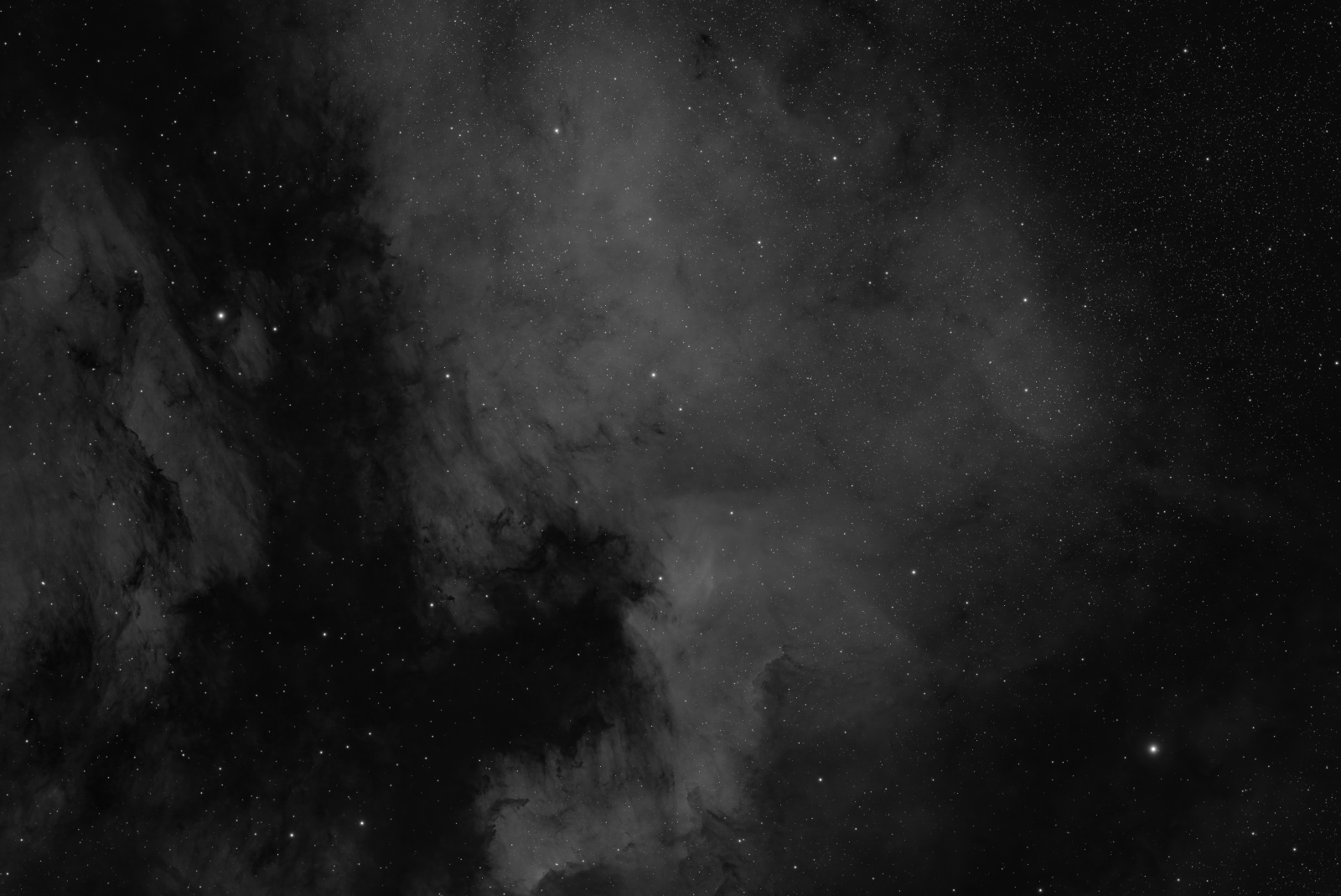 NGC 7000