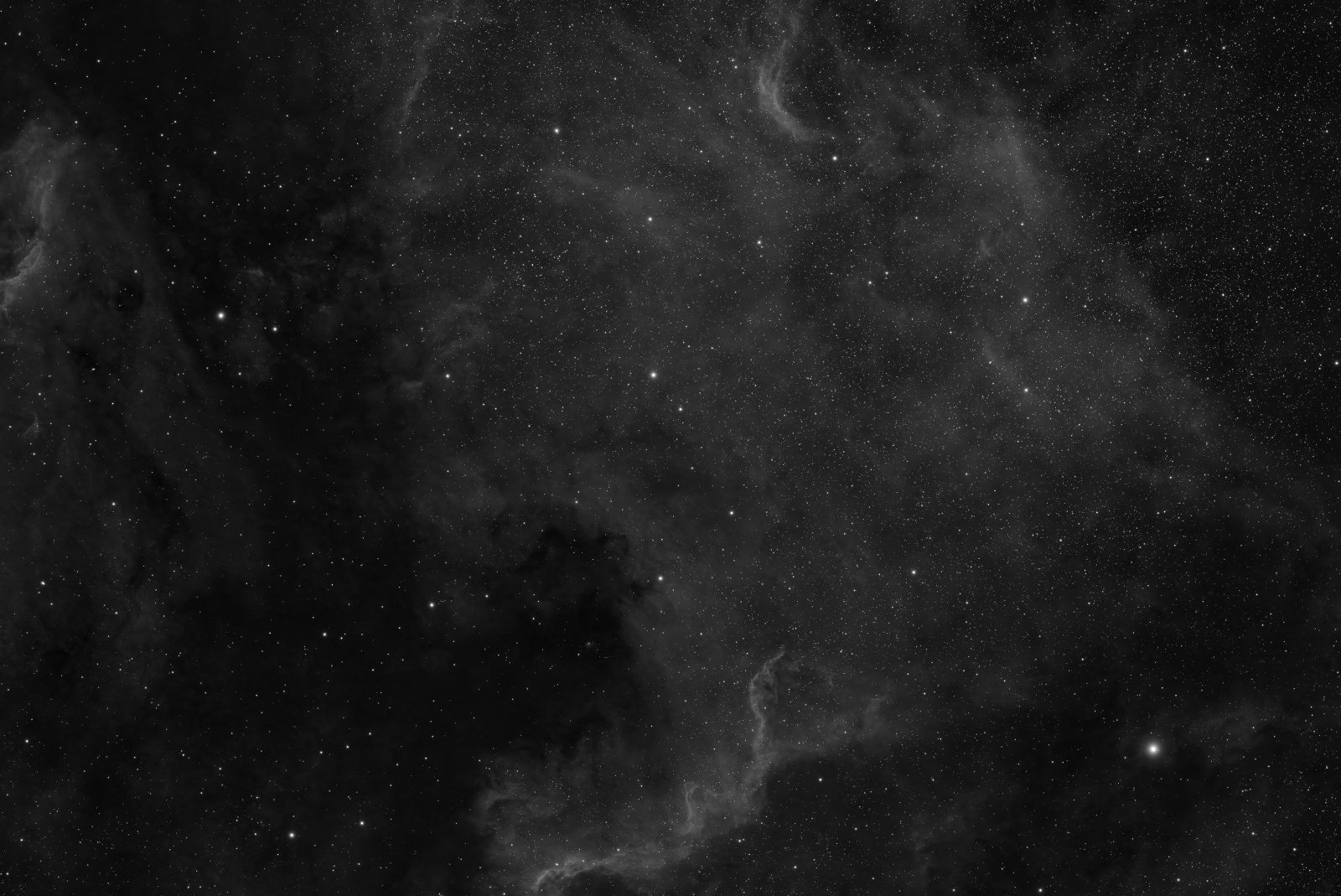 NGC 7000