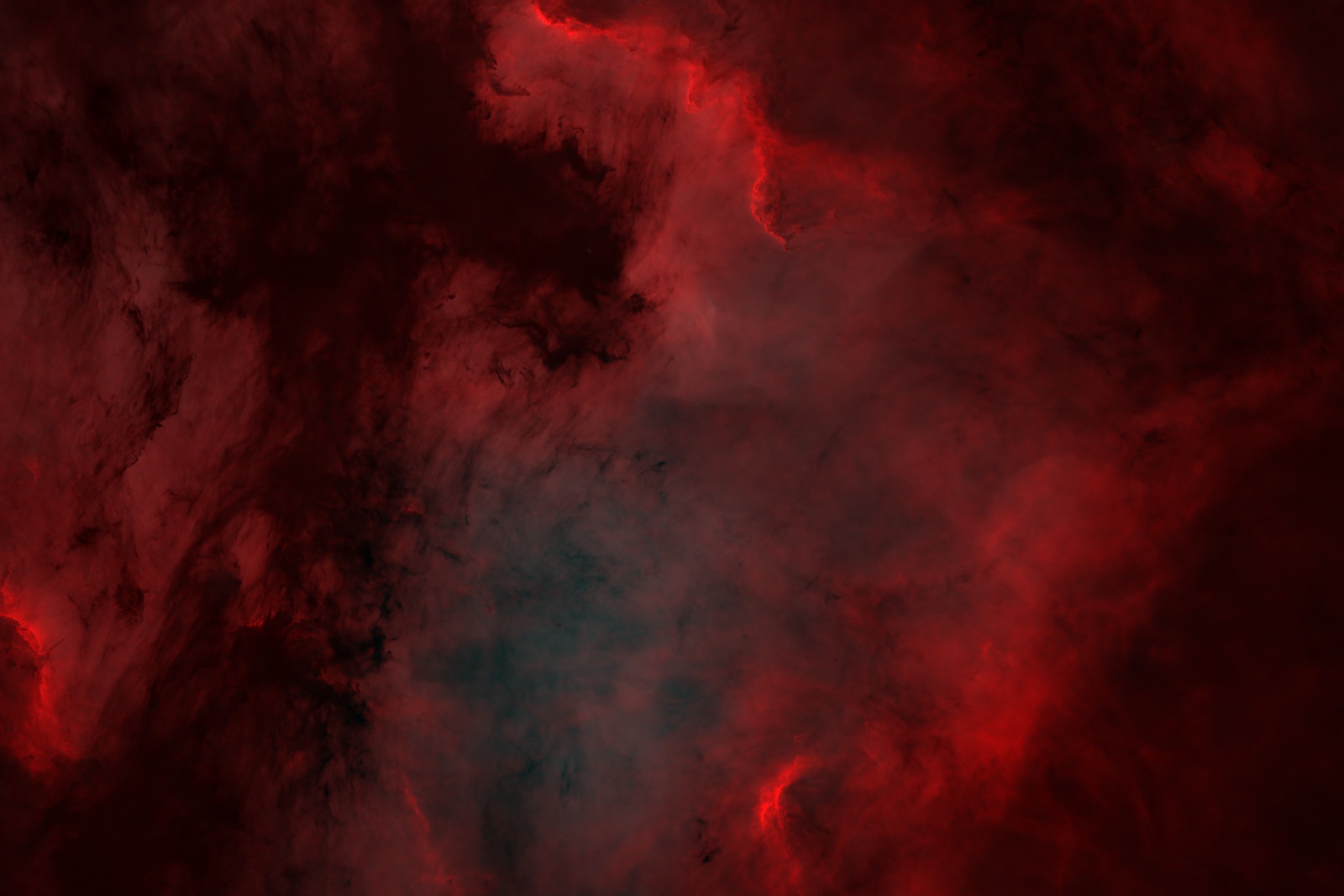 NGC 7000