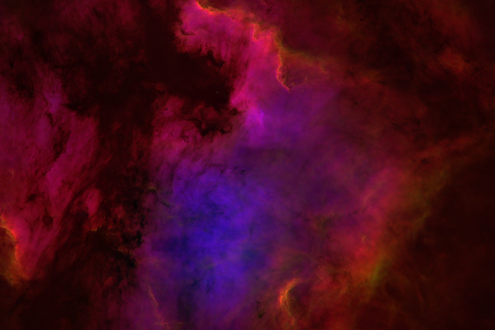 NGC 7000