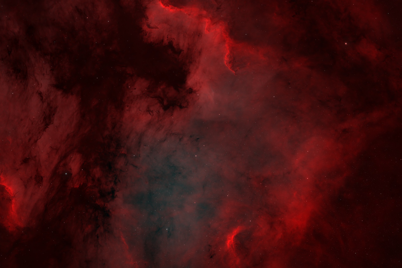 NGC 7000