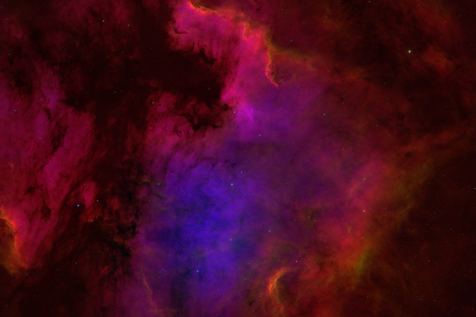 NGC 7000